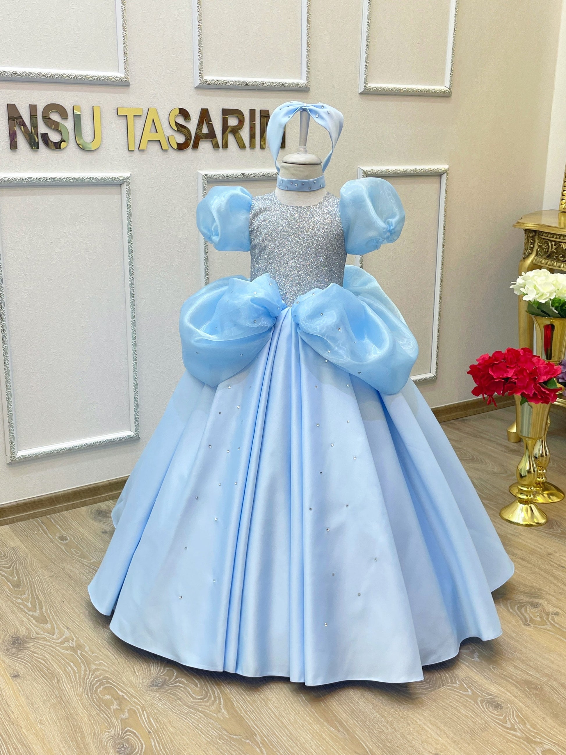 Cinderella dress front full size wide angle