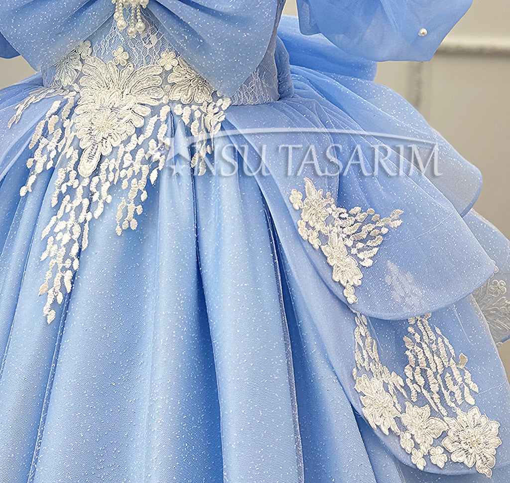 Cinderella Dress lace detail