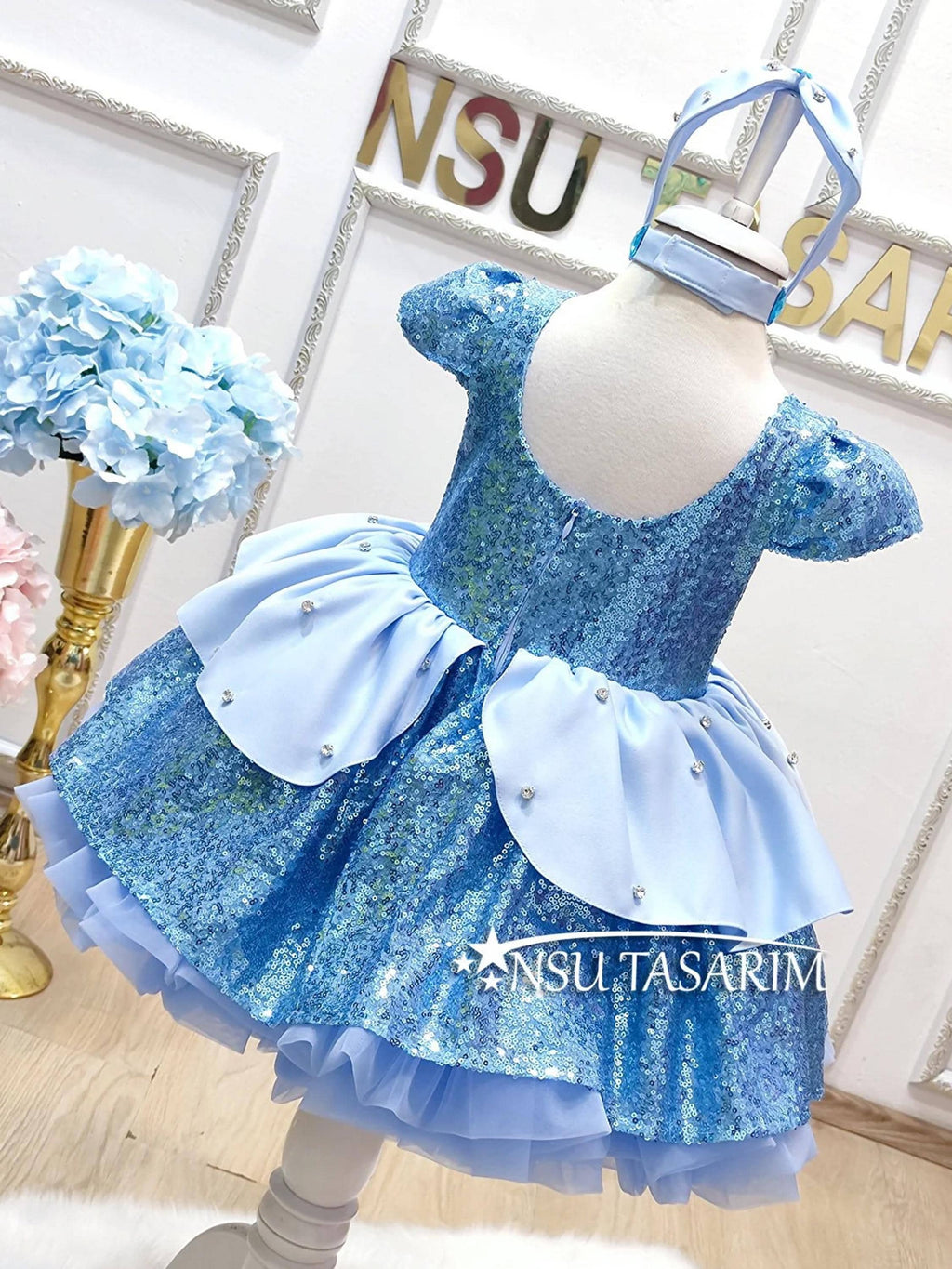 Cinderella dress back side full size