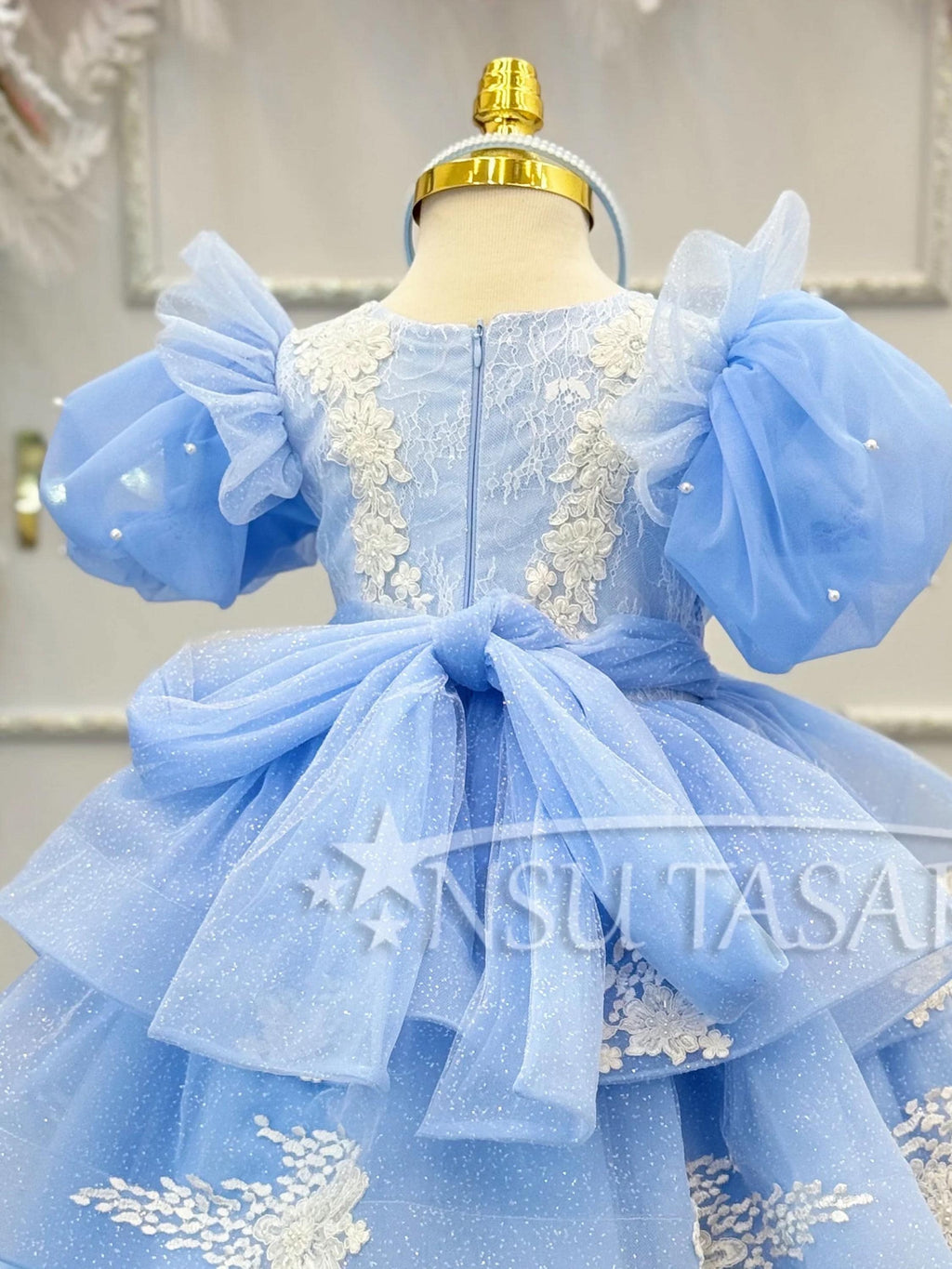 Cinderella Dress back side detail