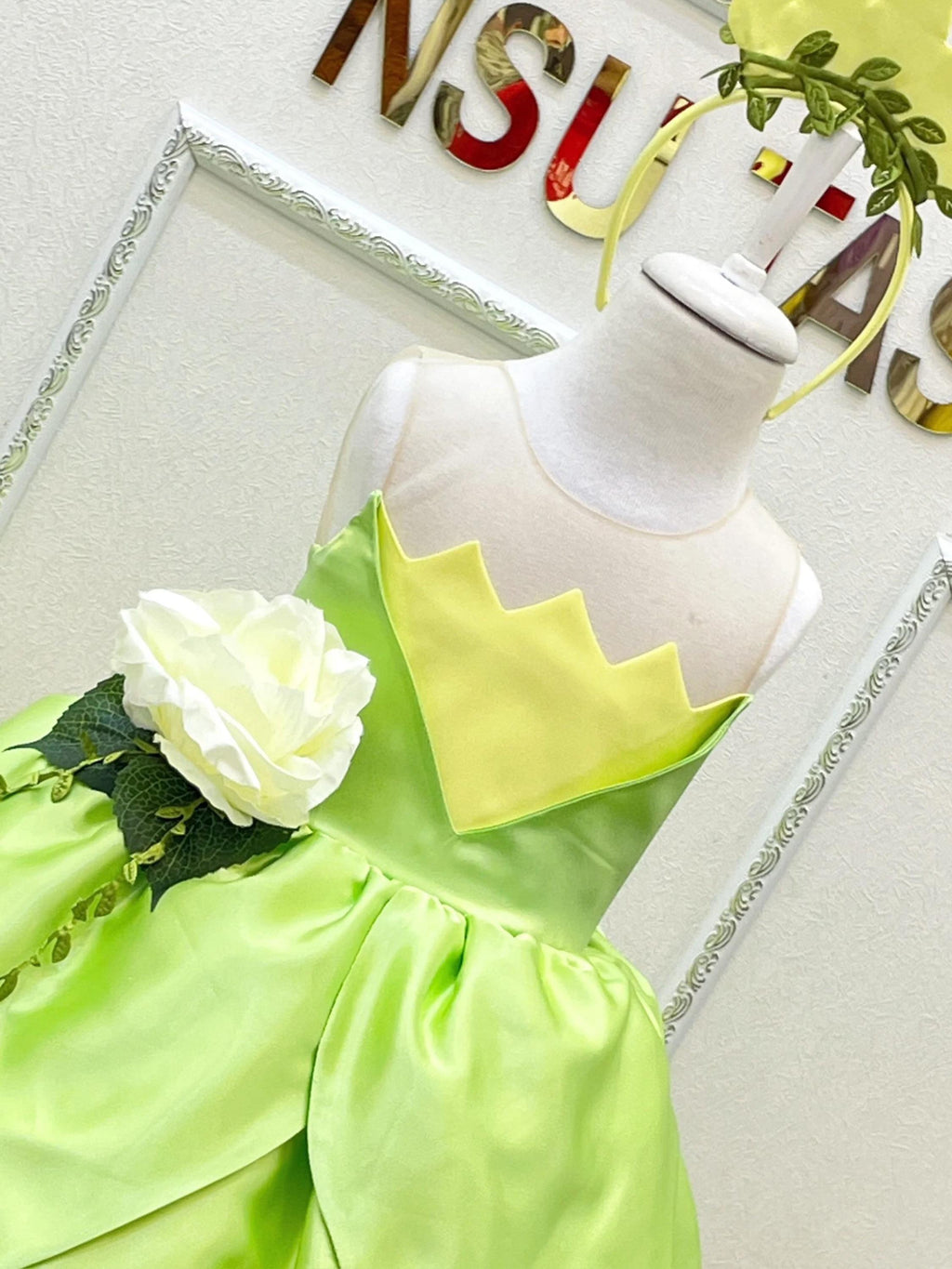 Princess Tiana dress front top close up