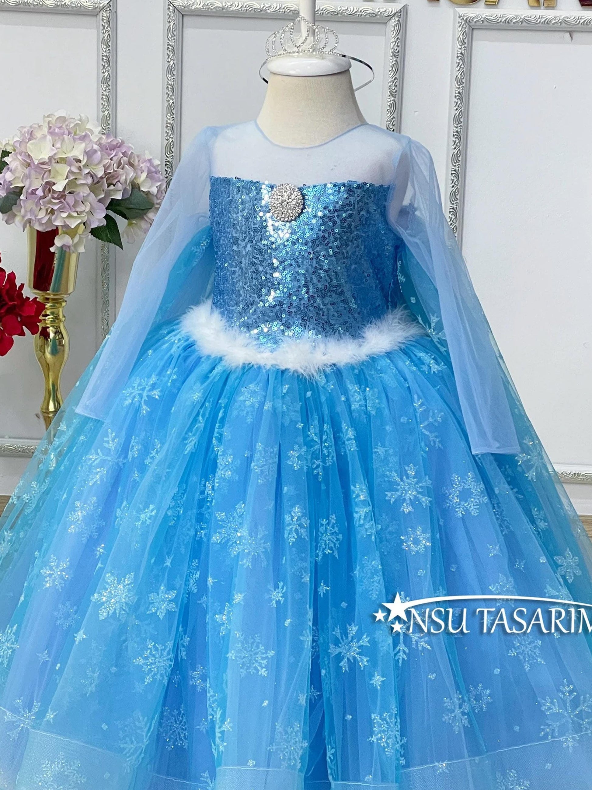 Frozen costume front side close up