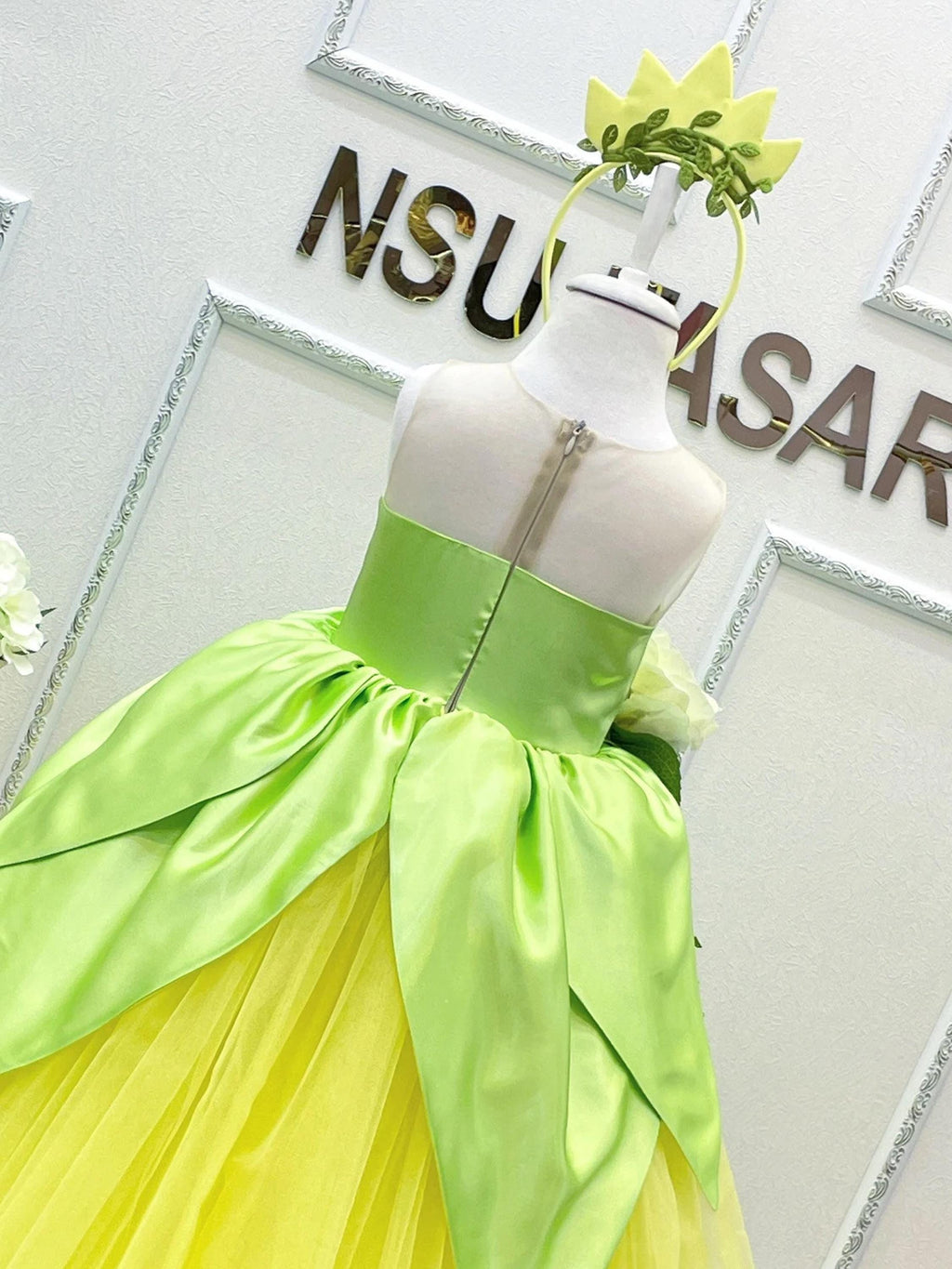 Princess Tiana dress back