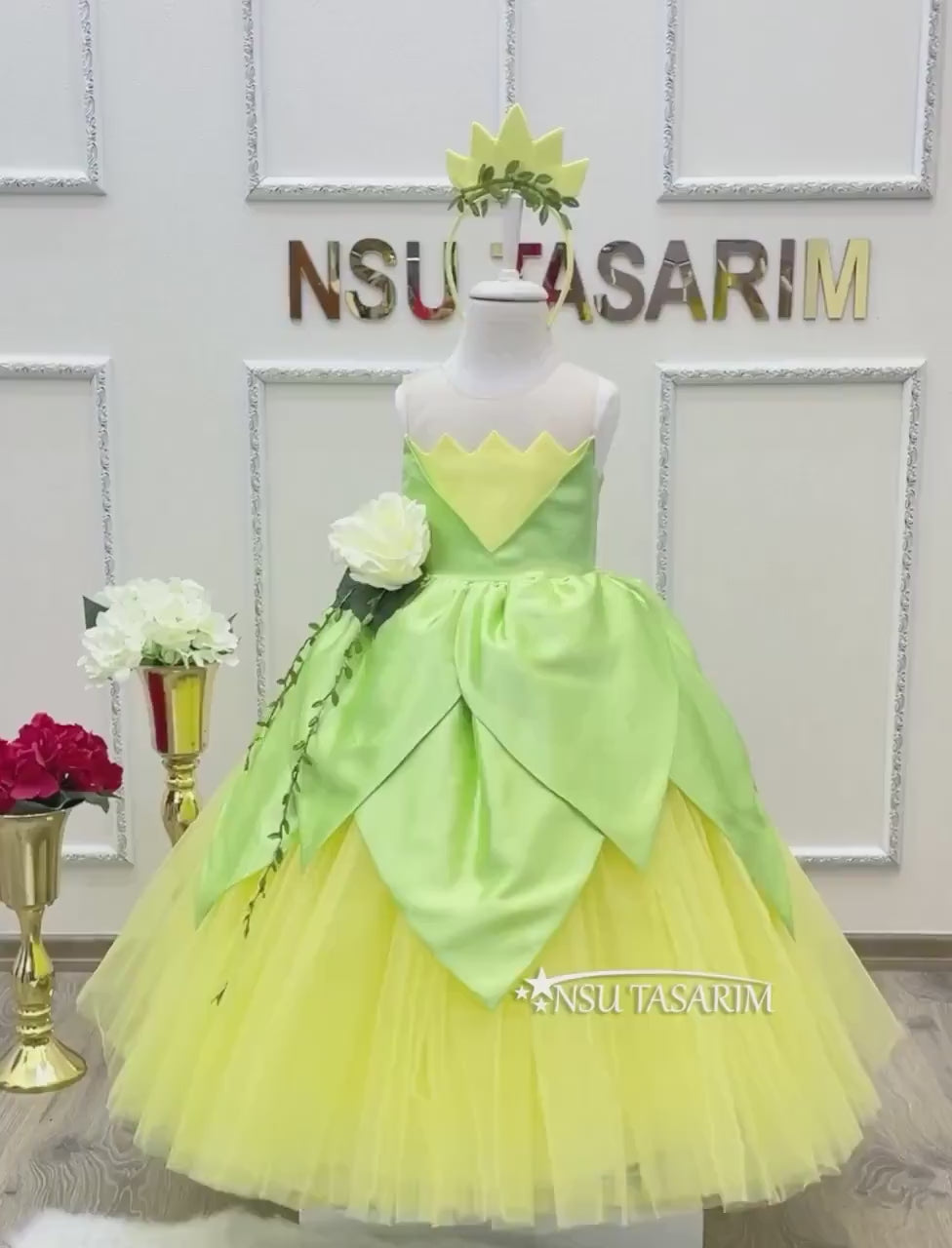 Princess Tiana dress. Tiana costume. Birthday Dress. Tiana dress. For special occasion